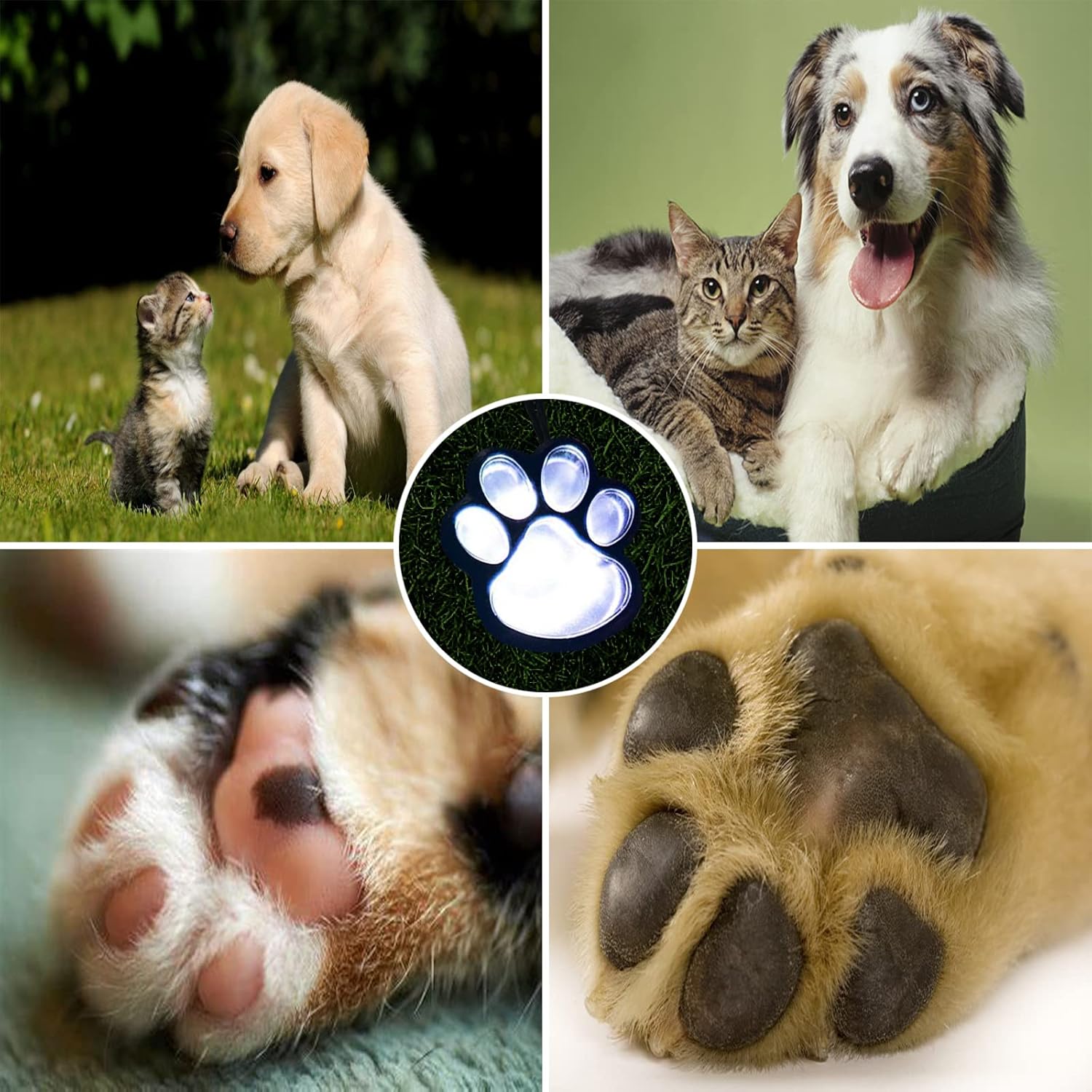 Luces solares de 16.8 pies, tira de luces solares de animales de gato y perro (juego de 8) decoración al aire libre, calienta a tu mascota y haz que