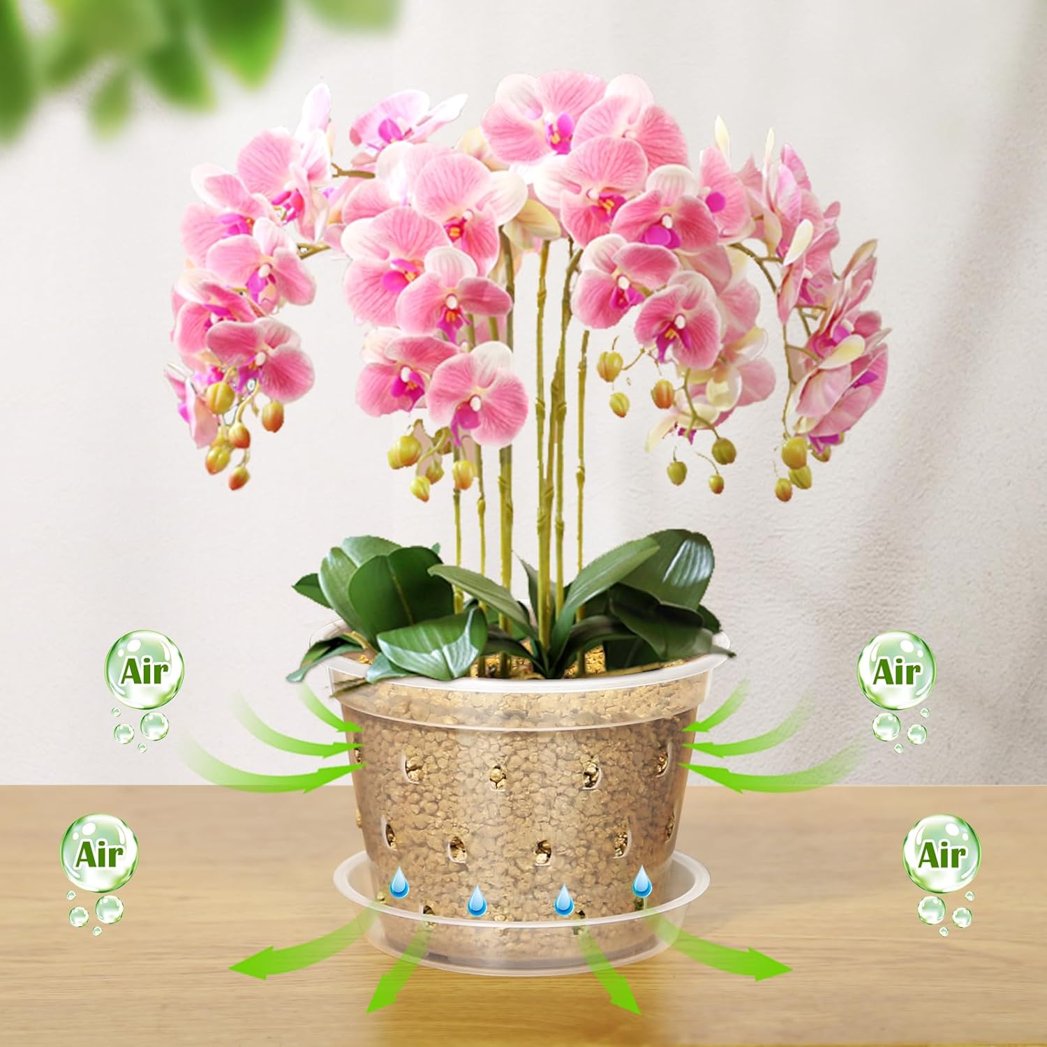 RAOOKIF Paquete de 9 macetas de orquídeas transparentes para trasplantar 5, 6 y 7 pulgadas, macetas de plástico para orquídeas con agujeros y