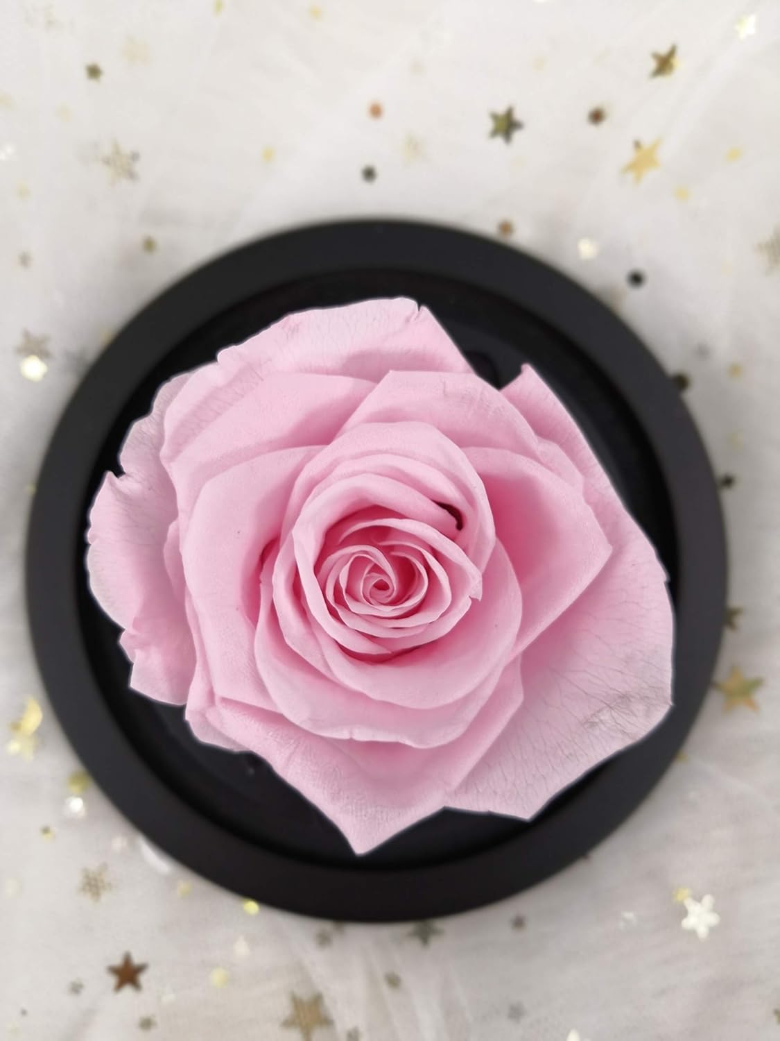 Rosa preservada para siempre, regalos de cumpleaños para mujeres, mamá, esposa, abuela, flor real, vida eterna, rosas nunca marchitas en cúpula de