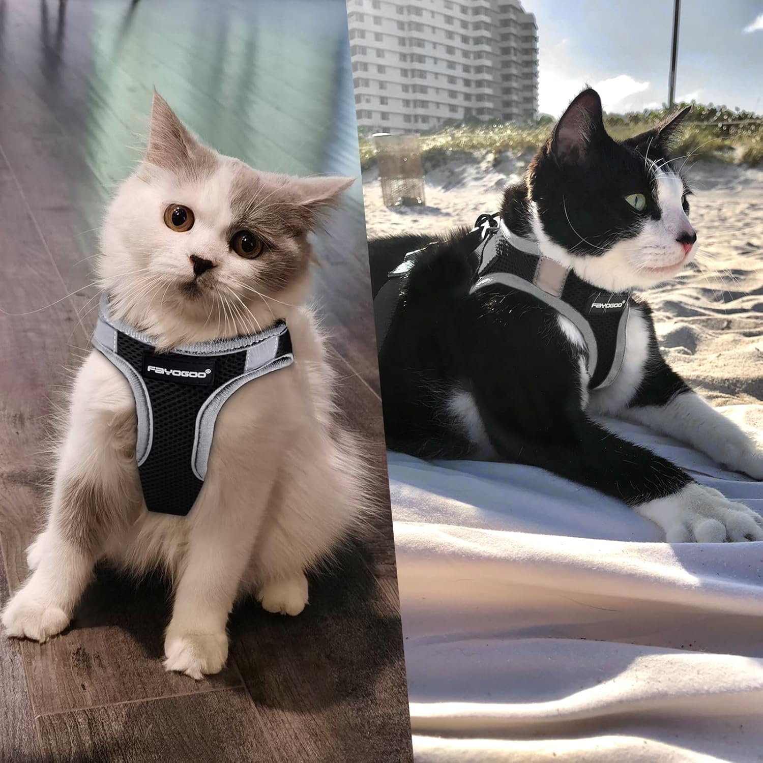 Juego de arnés y correa para gatos para caminar, a prueba de escape, arnés para gatito y correa ajustable, arnés y correa para caminar para gatos