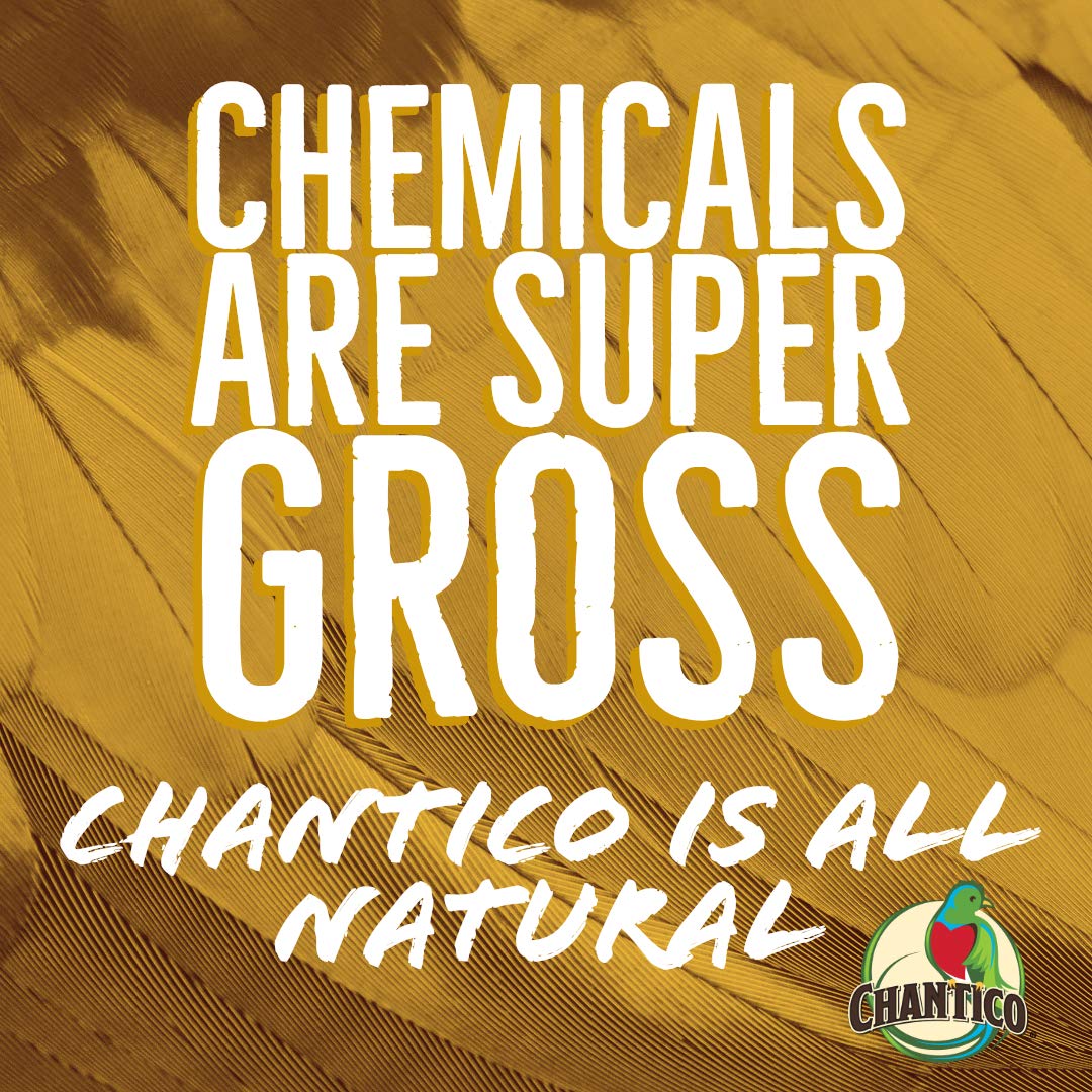 Chantico Edulcorante de agave (agave crudo, paquete de 3 botellas de 11.75 onzas), sustituto de azúcar natural orgánico con un bajo índice glucémico