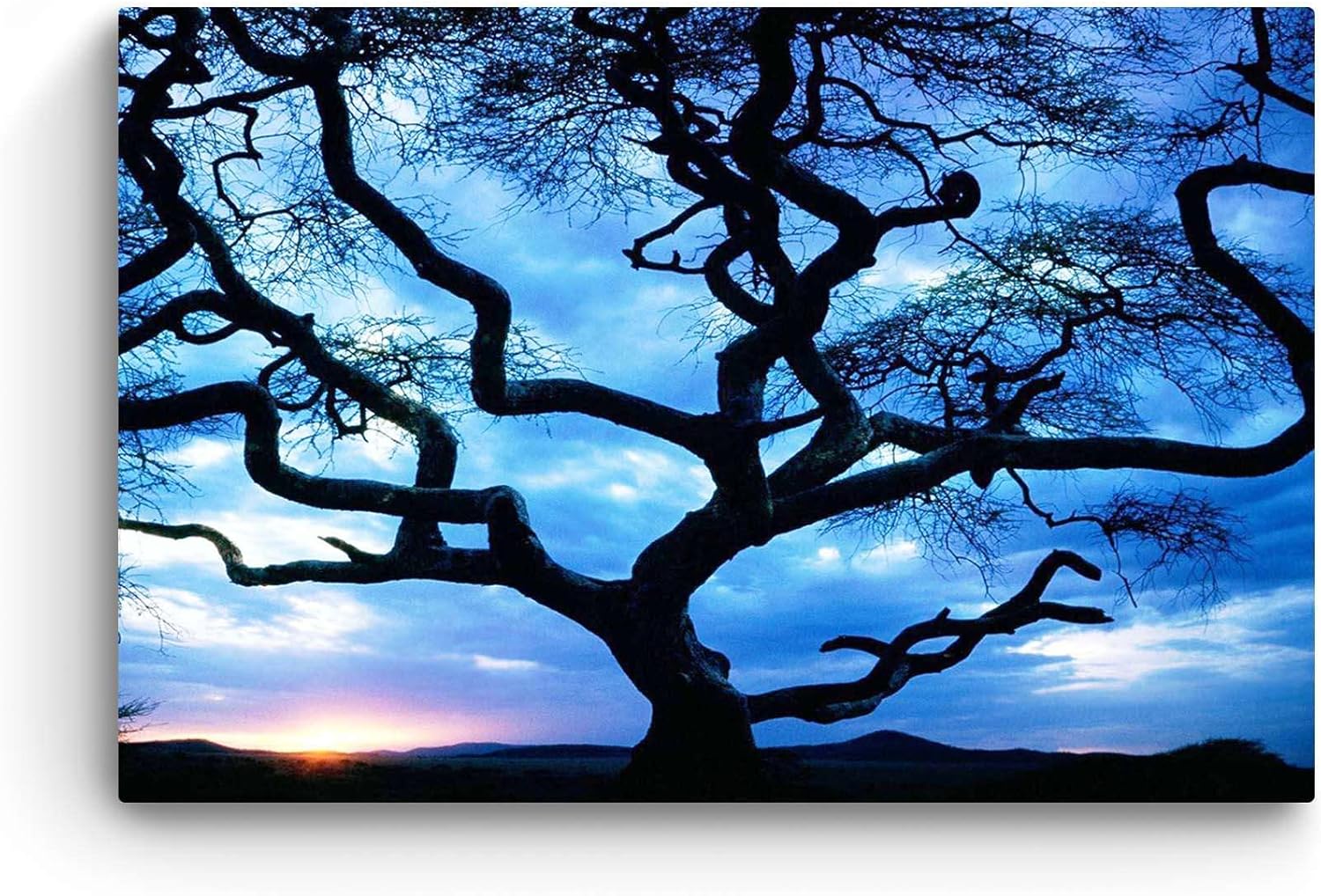 Startonight Lienzo decorativo para pared, increíble puesta de sol detrás del árbol, imagen de paisaje natural de árboles para sala de estar,
