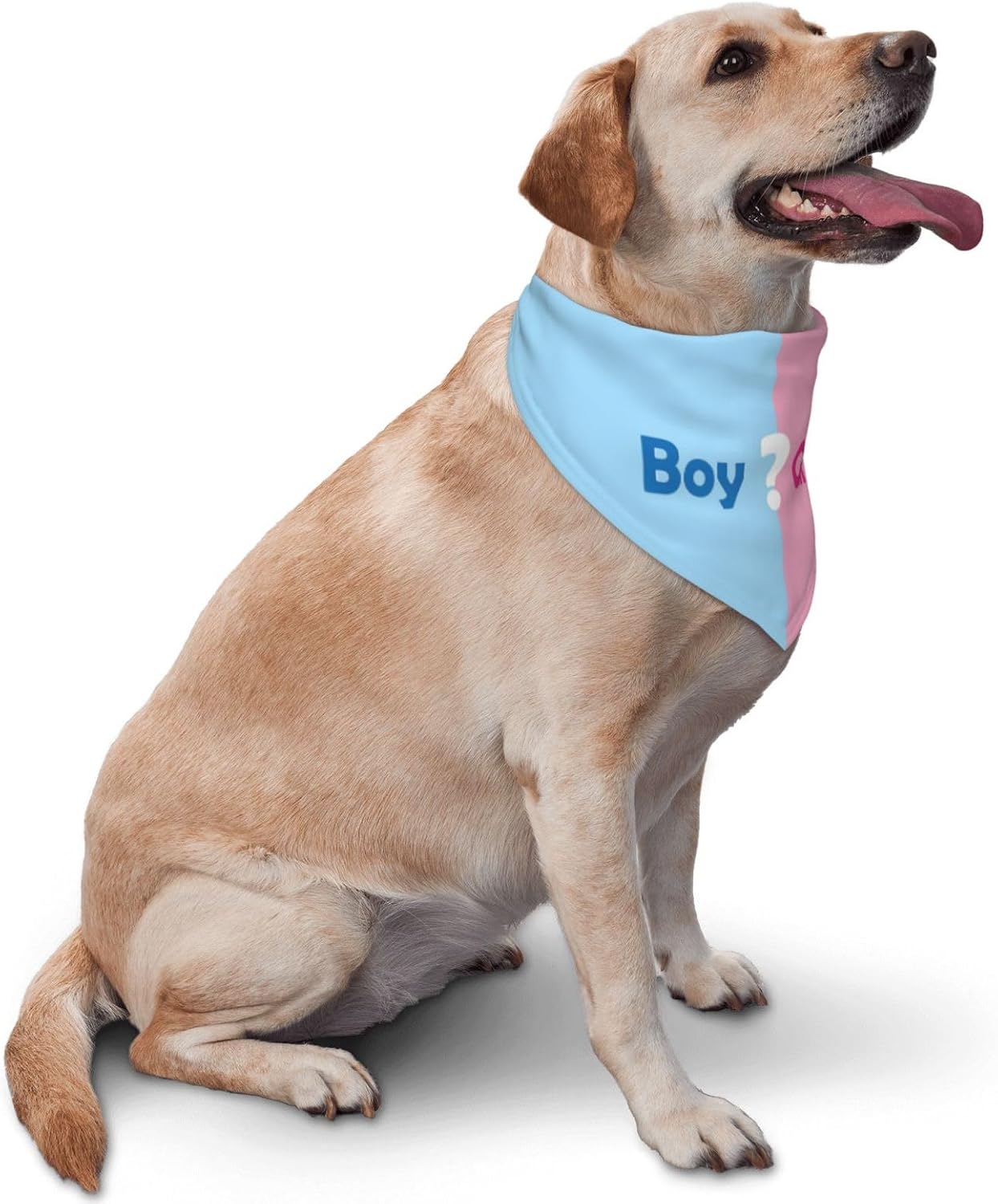 Qué será Anuncio de embarazo, bufanda triangular para mascotas, revelación de género, accesorios de fotografía de baby shower (rosa)