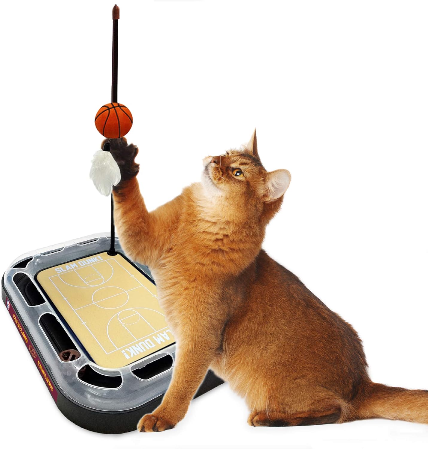 Juguete rascador de gato de la NBA CLEVELAND CAVALIERS de baloncesto de campo de gato con campana interactiva de bola de gato en pistas. Juguete de