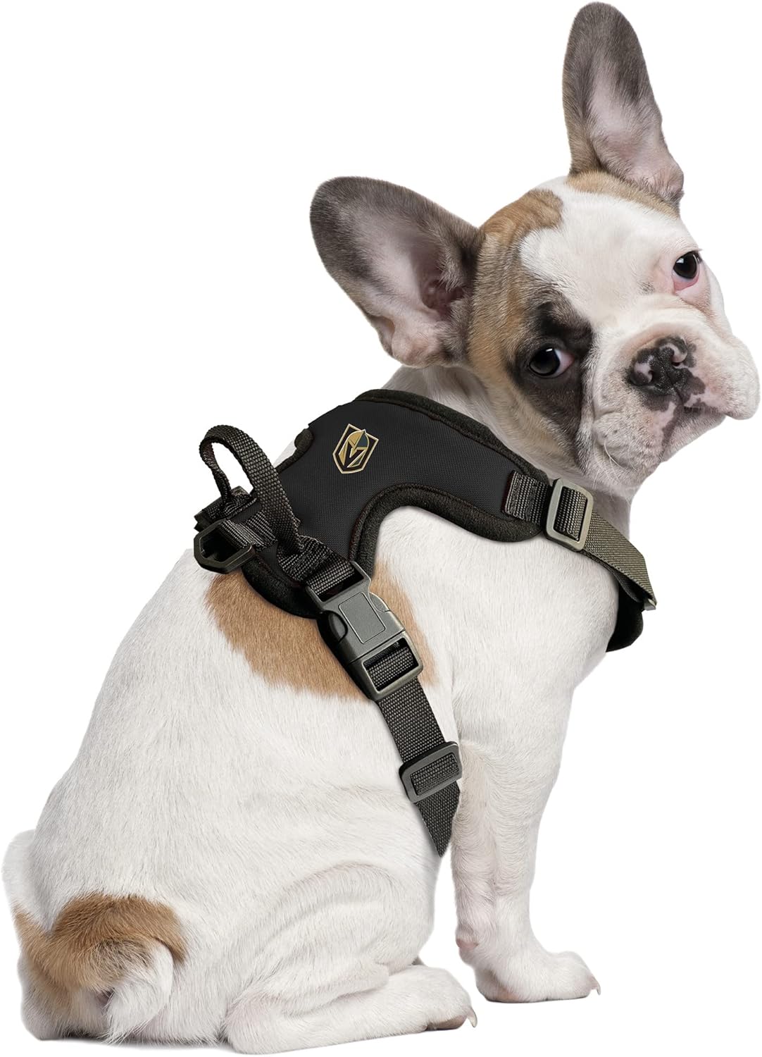 NHL – Arnés para mascotas con clip frontal unisex para adultos