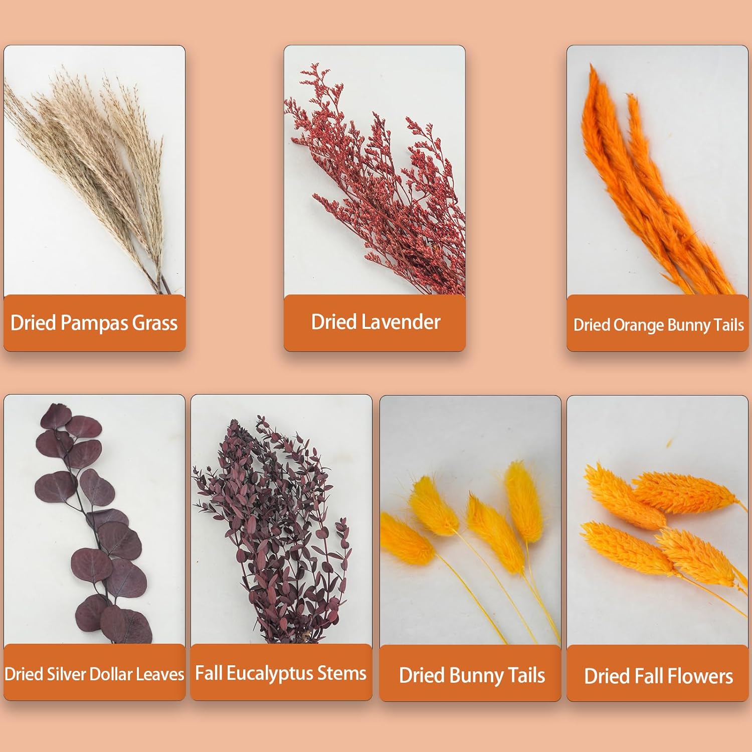 Ramos de hierba de pampa seca en otoño, colas de conejo naranja natural, flores secas de otoño para jarrones, otoño, bohemio, hogar, boda, arreglo