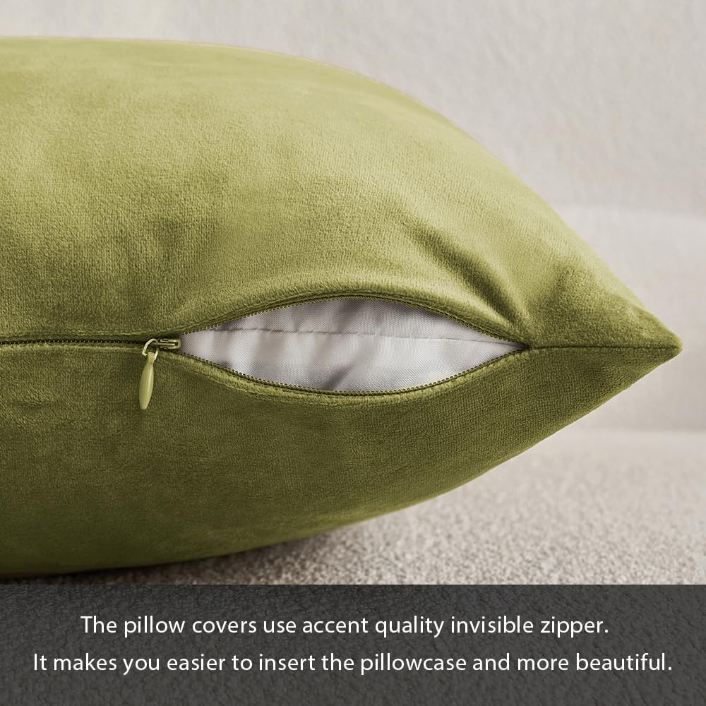 MIULEE Paquete de 2 fundas de almohada de terciopelo salvia de 20 x 20 pulgadas, juego de fundas de cojín cuadradas decorativas suaves para sofá de