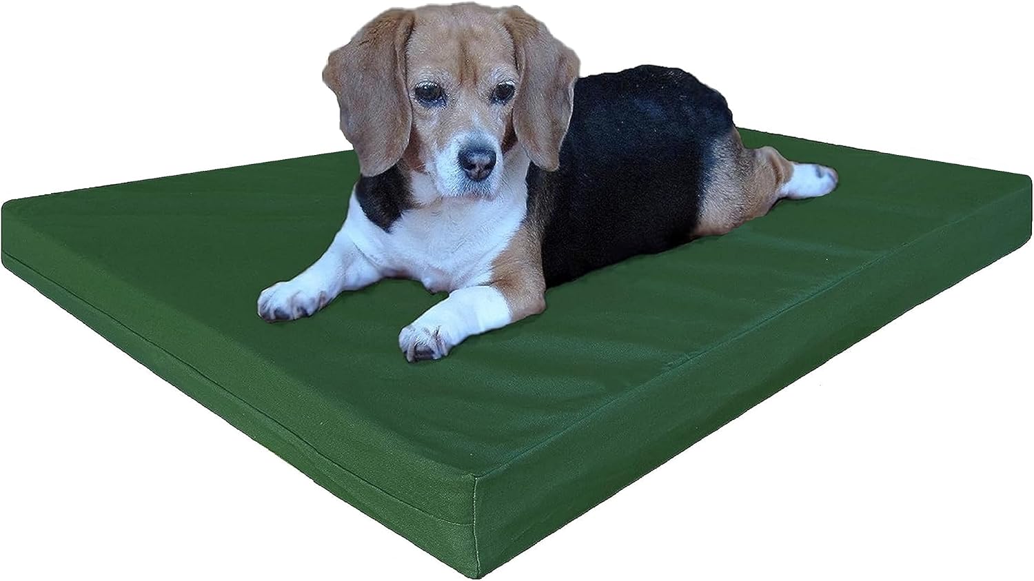 Cama para perro impermeable ortopédica con colchón 100% espuma viscoelástica para perros de tamaño pequeño, mediano, extra grande hasta gigante Lona
