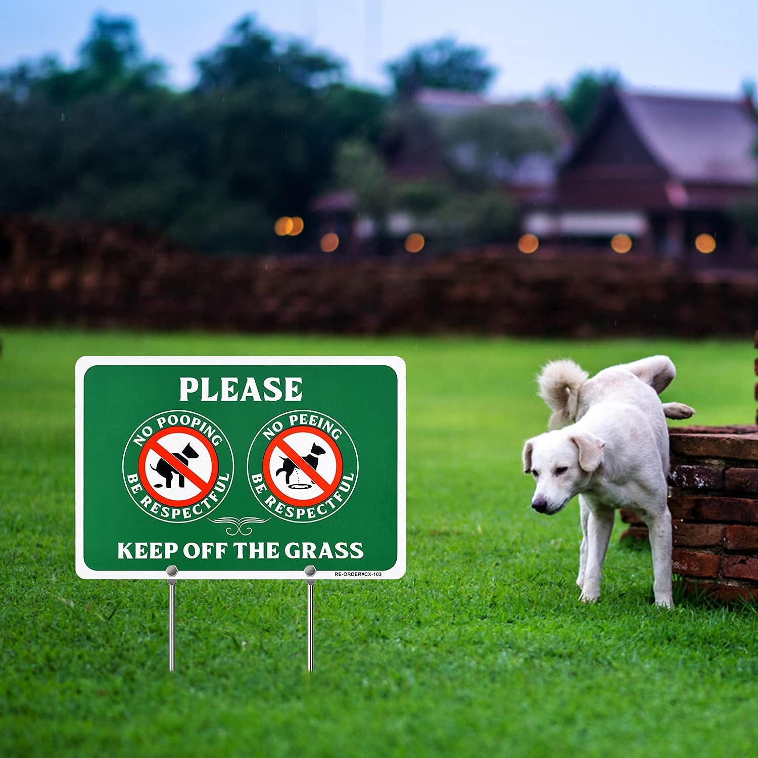 MUXYH Letrero de perro de doble cara con texto en inglés Please Be Respectful, Keep Off The Grass, de construcción de metal, 12 x 9 pulgadas, con