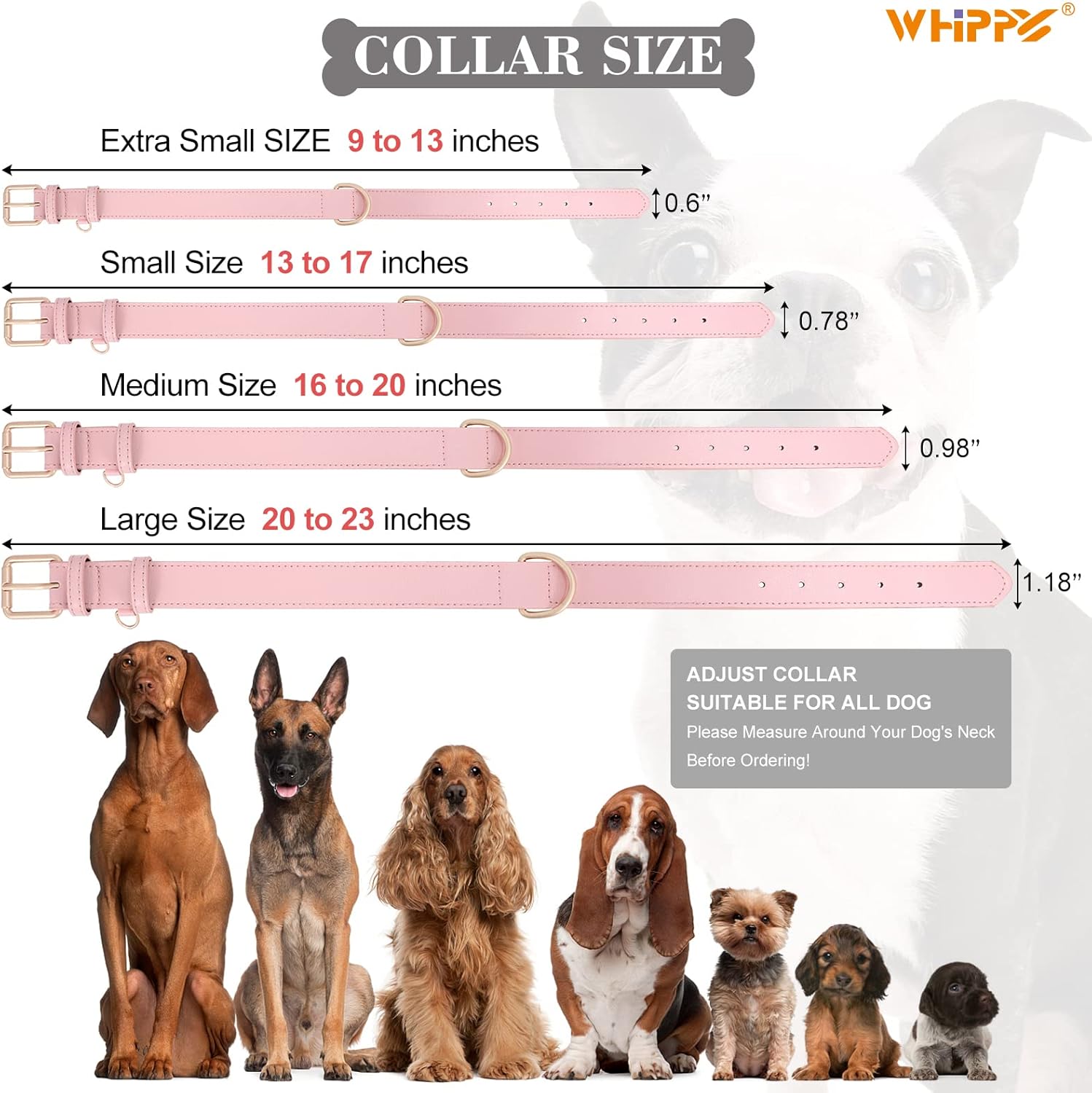WHIPPY Collar de cuero para perro pequeño, mediano y grande, ajustable, suave, transpirable, acolchado, de cuero con hebilla de aleación, resistente