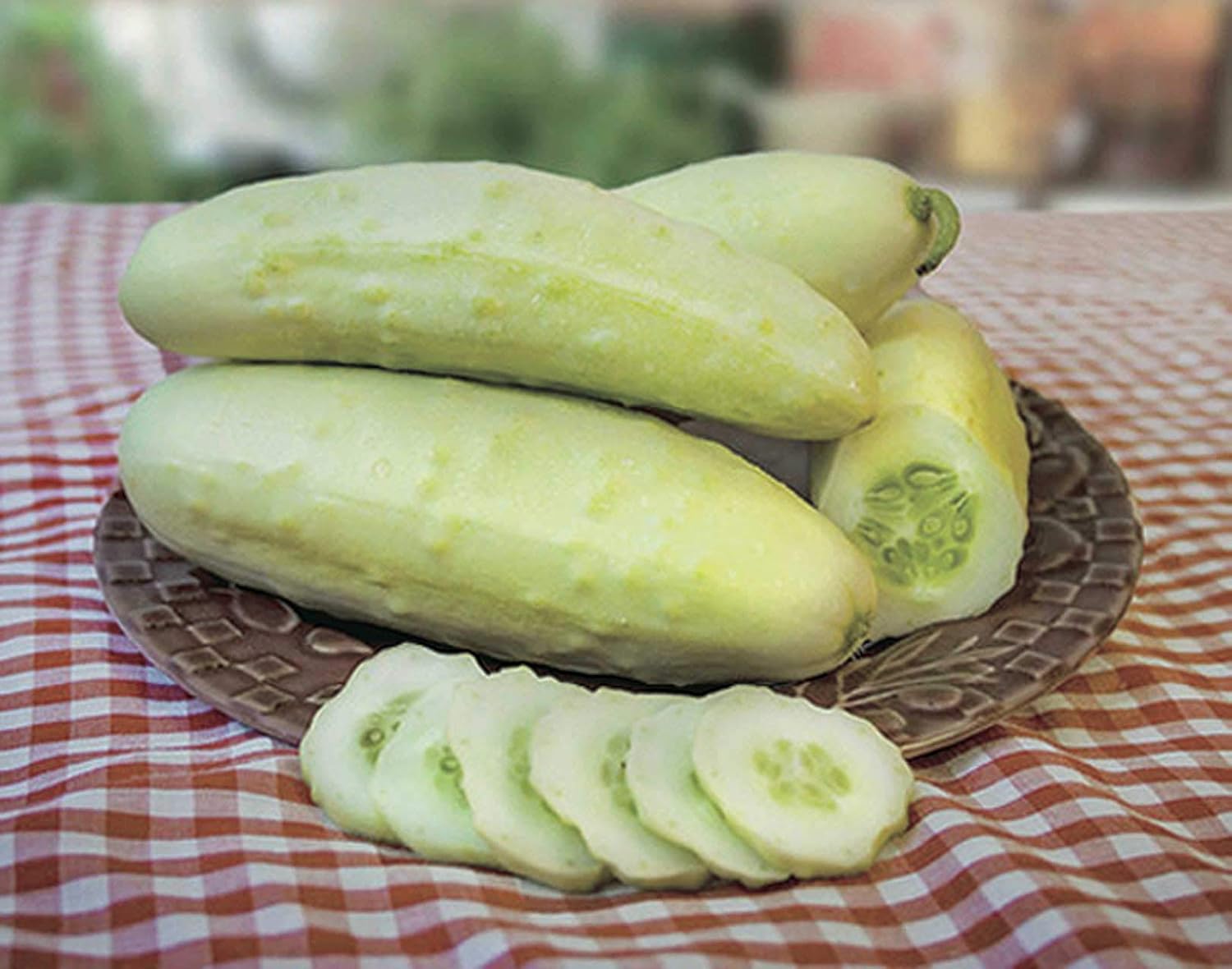 Semillas de pepino blanco en vinagre Heirloom vegetal no transgénico
