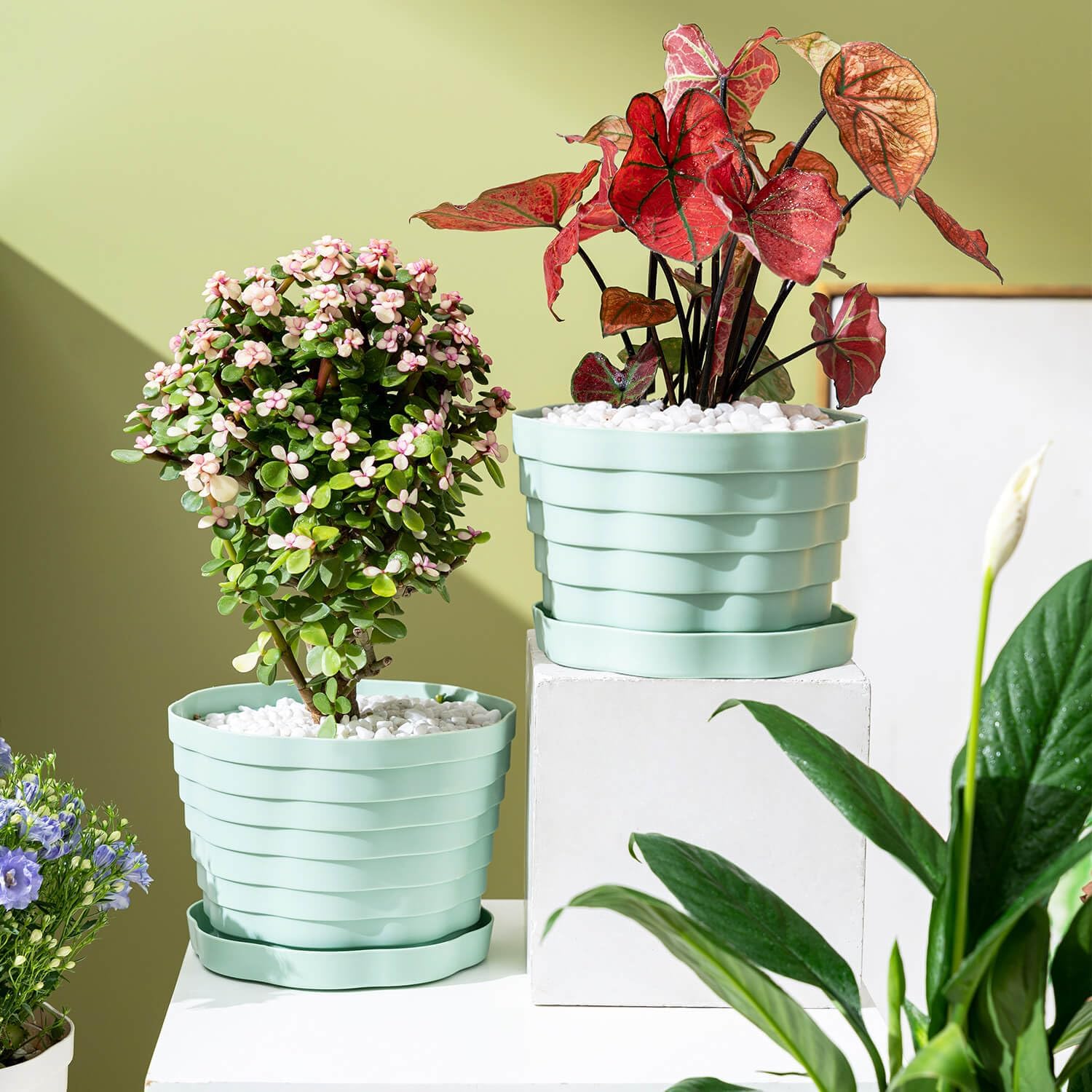 Macetas para macetas de interior, macetas decorativas de 7.7 pulgadas con agujeros de drenaje, paquete de 4 macetas para todas las flores de jardín