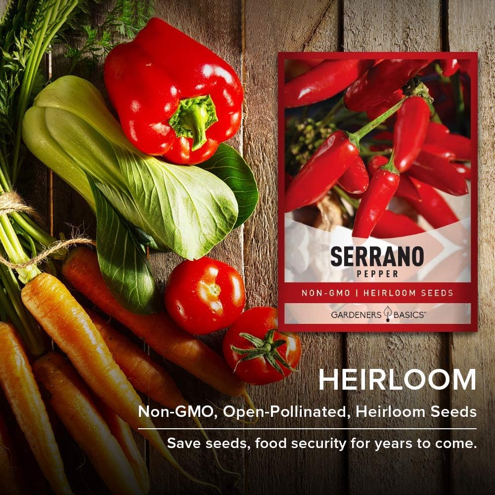 Semillas de pimiento serrano para plantar pimientos anchos sin OMG, semillas de plantas para verduras de jardín en el hogar, son un gran regalo para