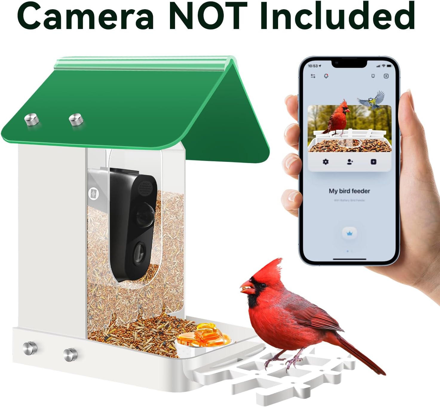 Comedero para pájaros compatible con parpadeos, Wyze y otras cámaras inteligentes para observación de aves con tu cámara de seguridad, regalo para
