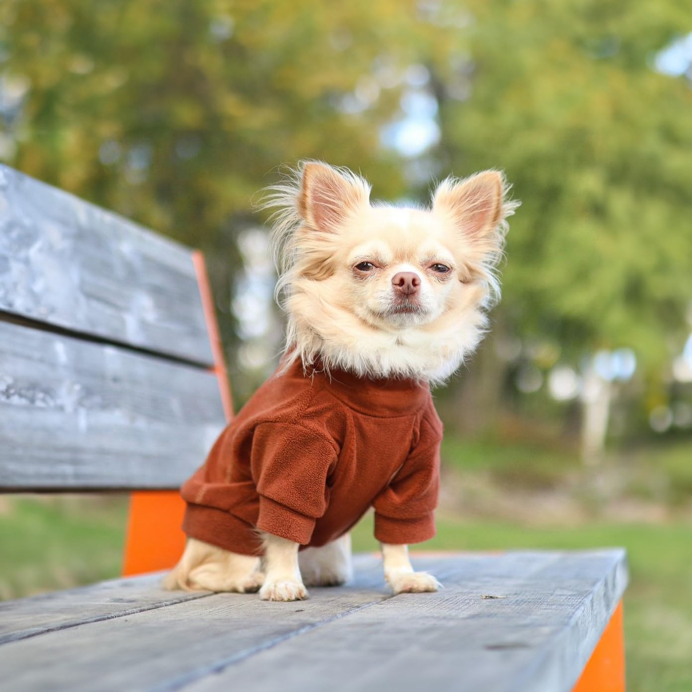 Fitwarm Paquete de 3 suéteres clásicos de forro polar para perro, sudadera de cuello alto, ropa de invierno para perros pequeños, niños y niñas,