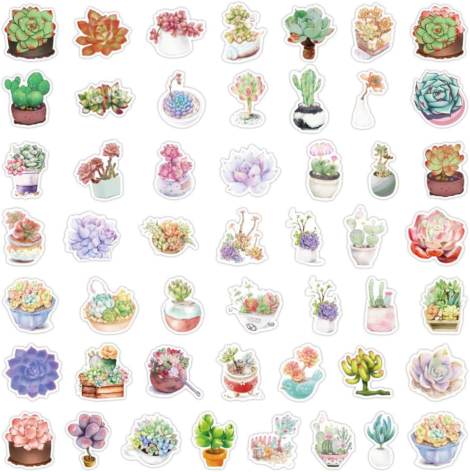 100 calcomanías para suculentas, calcomanías de plantas de cactus verdes, de vinilo, impermeables, para adolescentes, adultos, diario, botella de