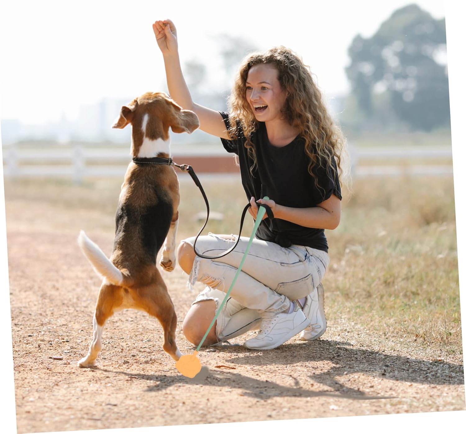 2 piezas de entrenamiento Shot Tails accesorios de ejercicio Motion Pro Tools Cat Teaser Wand Puppy Morder Perro Jugar Arrastre Polo, Herramientas