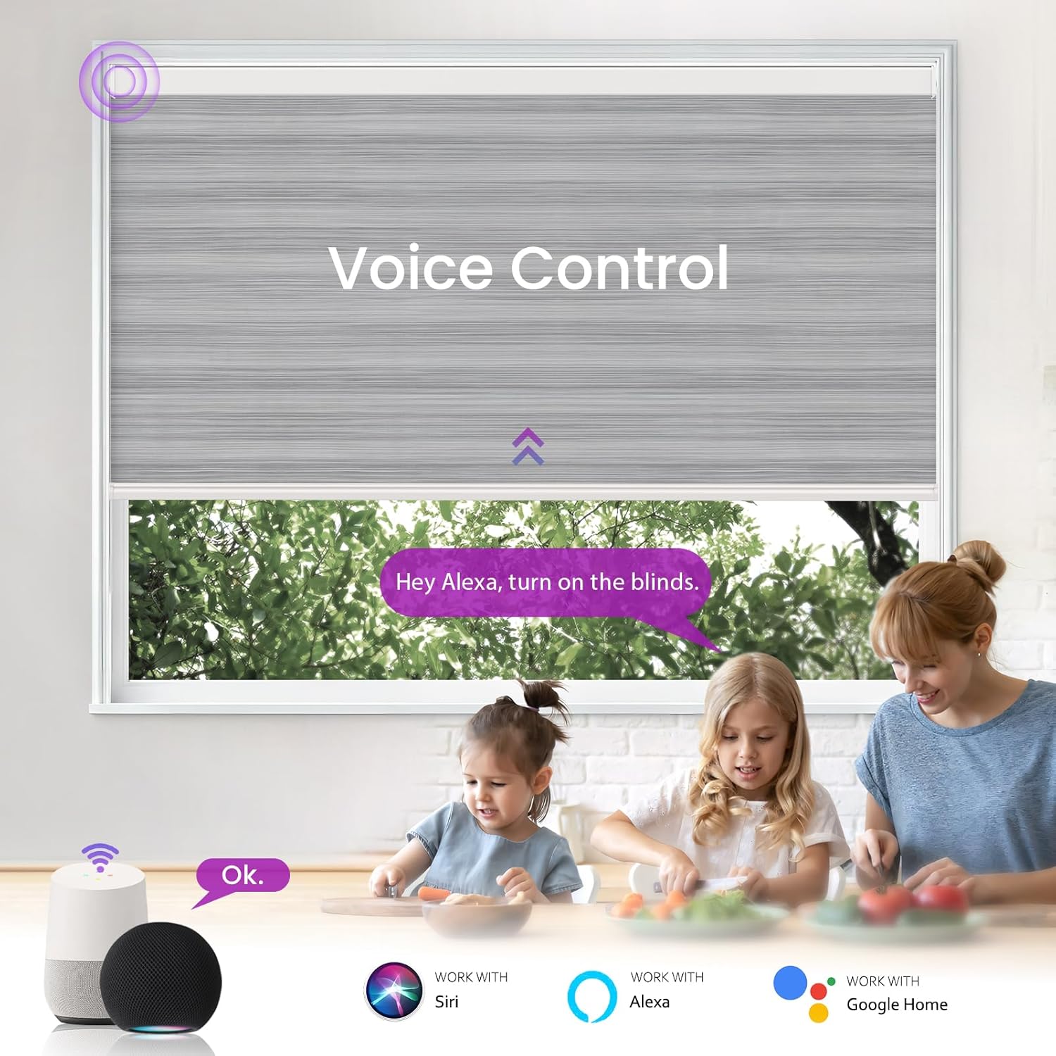 Persianas motorizadas de cebra para ventana persianas inteligentes Astomi con persianas enrollables inalámbricas, control remoto, control de voz,