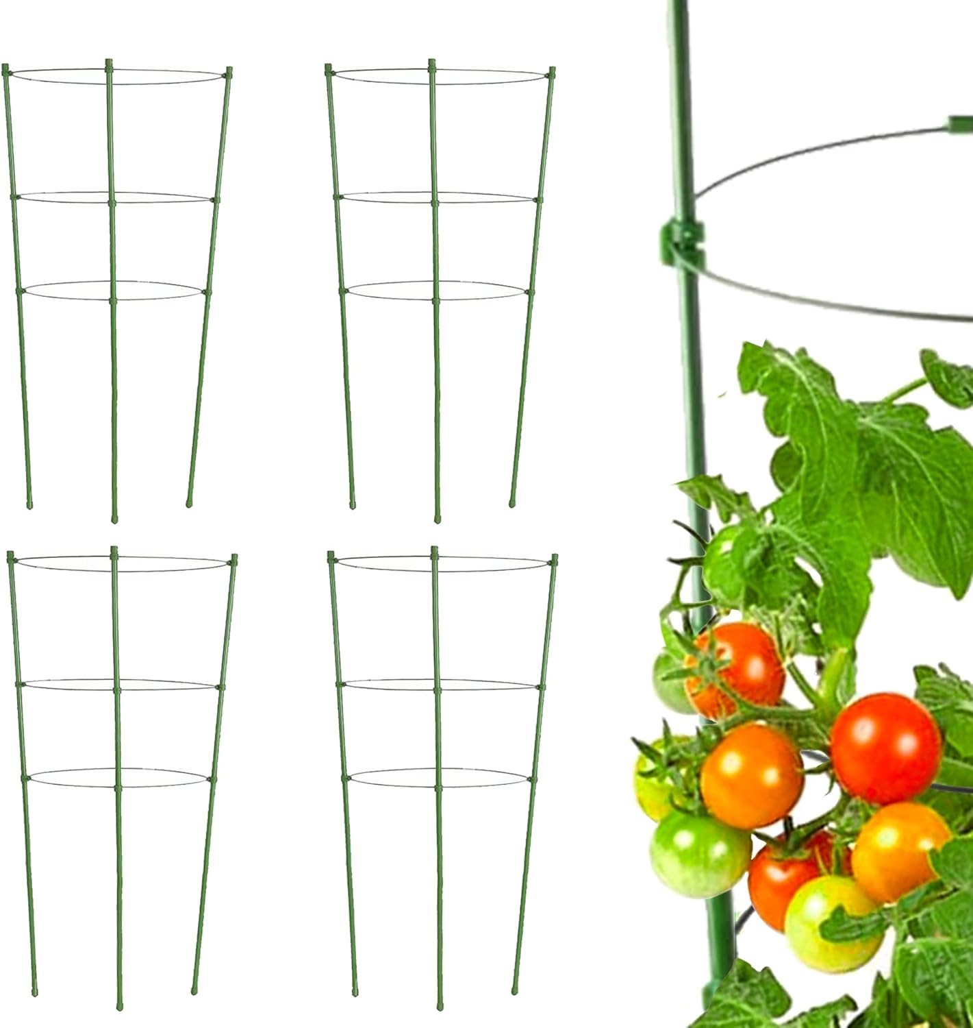 Jaula de tomate para jardín, paquete de 4 jaulas de jardín de enrejado de tomate de 18 pulgadas con 3 anillos ajustables, estacas para plantas