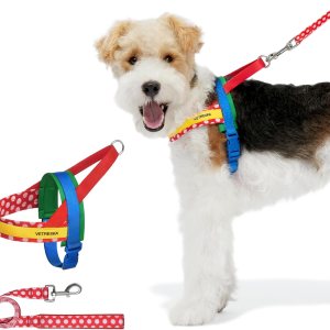 VETRESKA Arnés sin tirones para perros pequeños, juego de arnés y correa para perro fácil de caminar, arnés para cachorros para caminar y entrenar, VETRESKA Arnés sin tirones para perros pequeños, juego de arnés y correa para perro fácil de caminar, arnés para cachorros para caminar y entrenar,