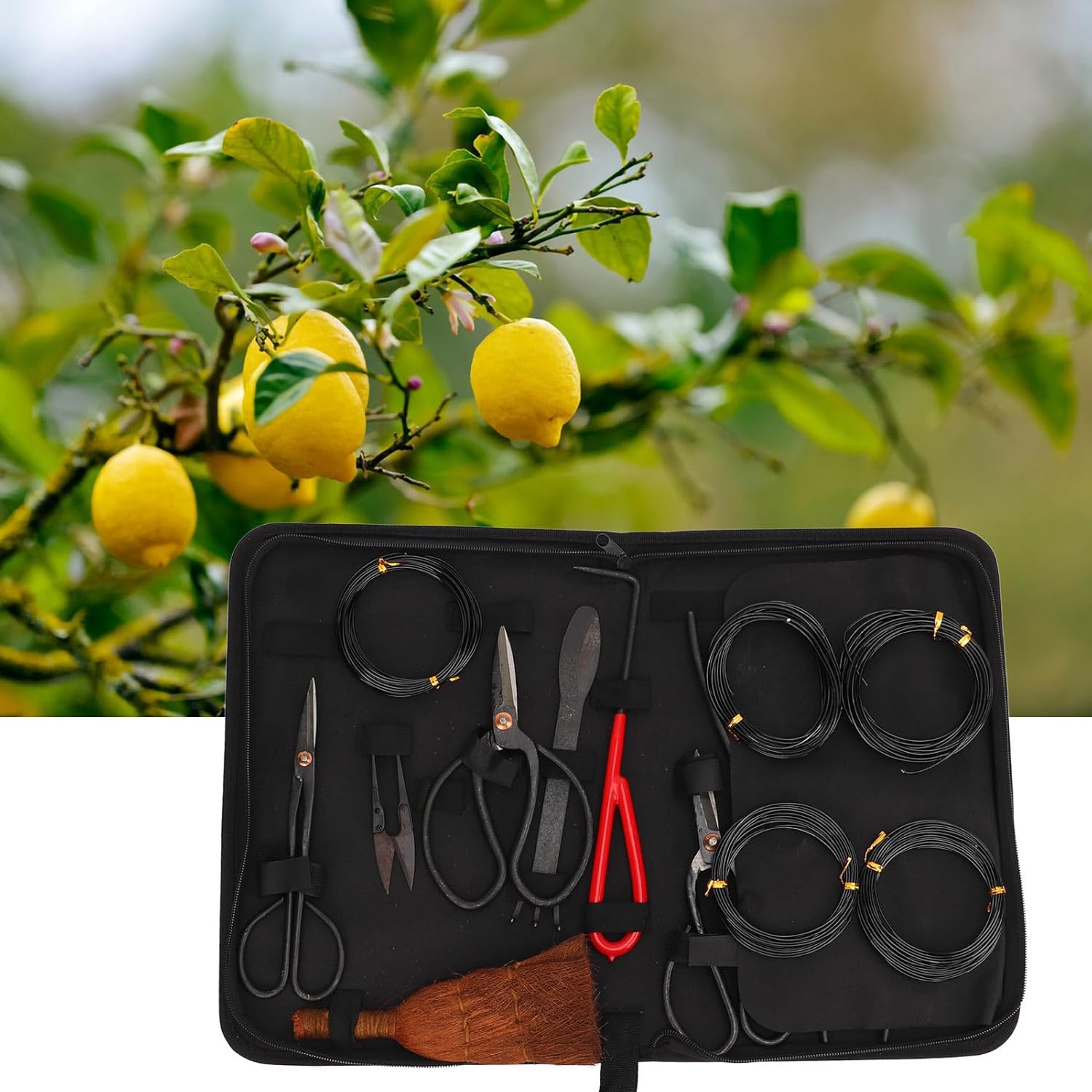 Juego de herramientas para bonsái  Cortador de hojas de acero al carbono, tijeras de podar, herramientas de poda de bonsái de rastrillo  Kit