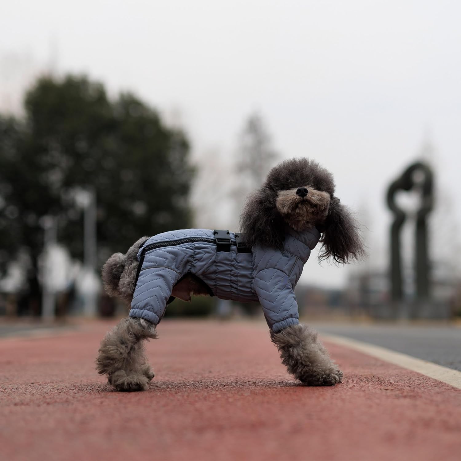 Abrigo cálido para perro, chaleco de doble capa para perro, 4 patas cubiertas, resistente al viento, impermeable, reflectante, chaleco cálido para