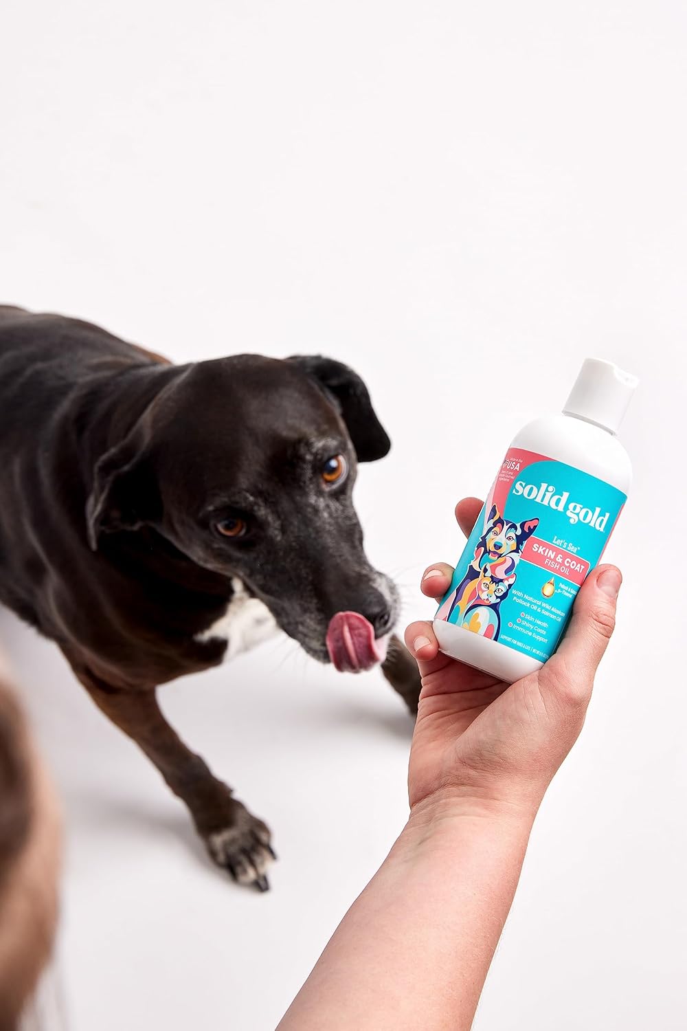 Solid Gold Aceite de pescado para perros y gatos  Aceite de salmón salvaje de Alaska para apoyo de la piel y el pelaje de perros  Mezcla de aceite