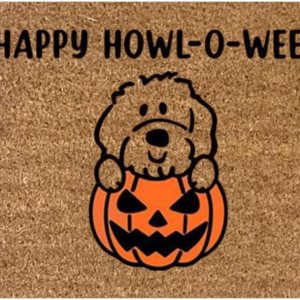Tapetes de bienvenida de Halloween para exteriores, 23.6 x 15.7 pulgadas, Hey Boo, duradero, calabaza, Halloween, fantasma, puerta delantera, Tapetes de bienvenida de Halloween para exteriores, 23.6 x 15.7 pulgadas, Hey Boo, duradero, calabaza, Halloween, fantasma, puerta delantera,