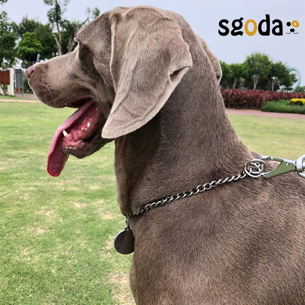 SGODA Collar de estrangulador de entrenamiento para perros, acero inoxidable 304, longitud total 24 pulgadas, 0.138 in