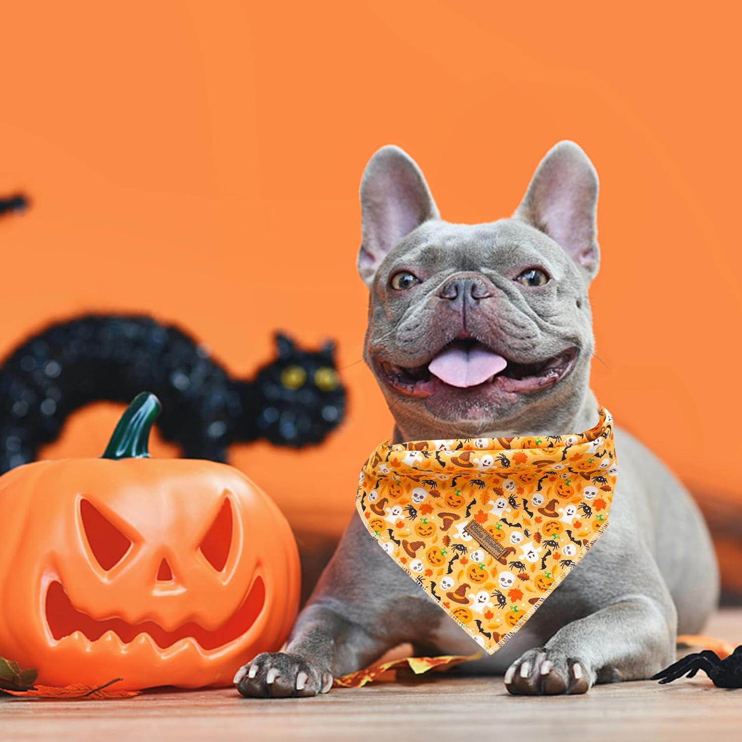 Pañuelo de otoño para perro, 1 bufanda de Halloween para perro, bufandas para perros, bufanda para mascotas, pañuelo para mascotas, bufandas