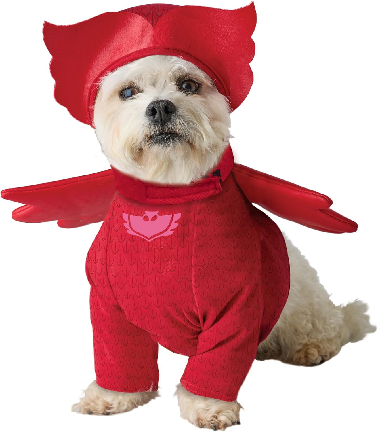 PJ Masks – Disfraz de búho para perro, disfraz para perros, talla M