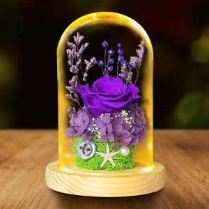 Flores de rosas preservadas, regalos de rosas de la Bella y la Bestia para mujeres, regalos de rosas eternas para ella, regalo de rosa de cristal Flores de rosas preservadas, regalos de rosas de la Bella y la Bestia para mujeres, regalos de rosas eternas para ella, regalo de rosa de cristal