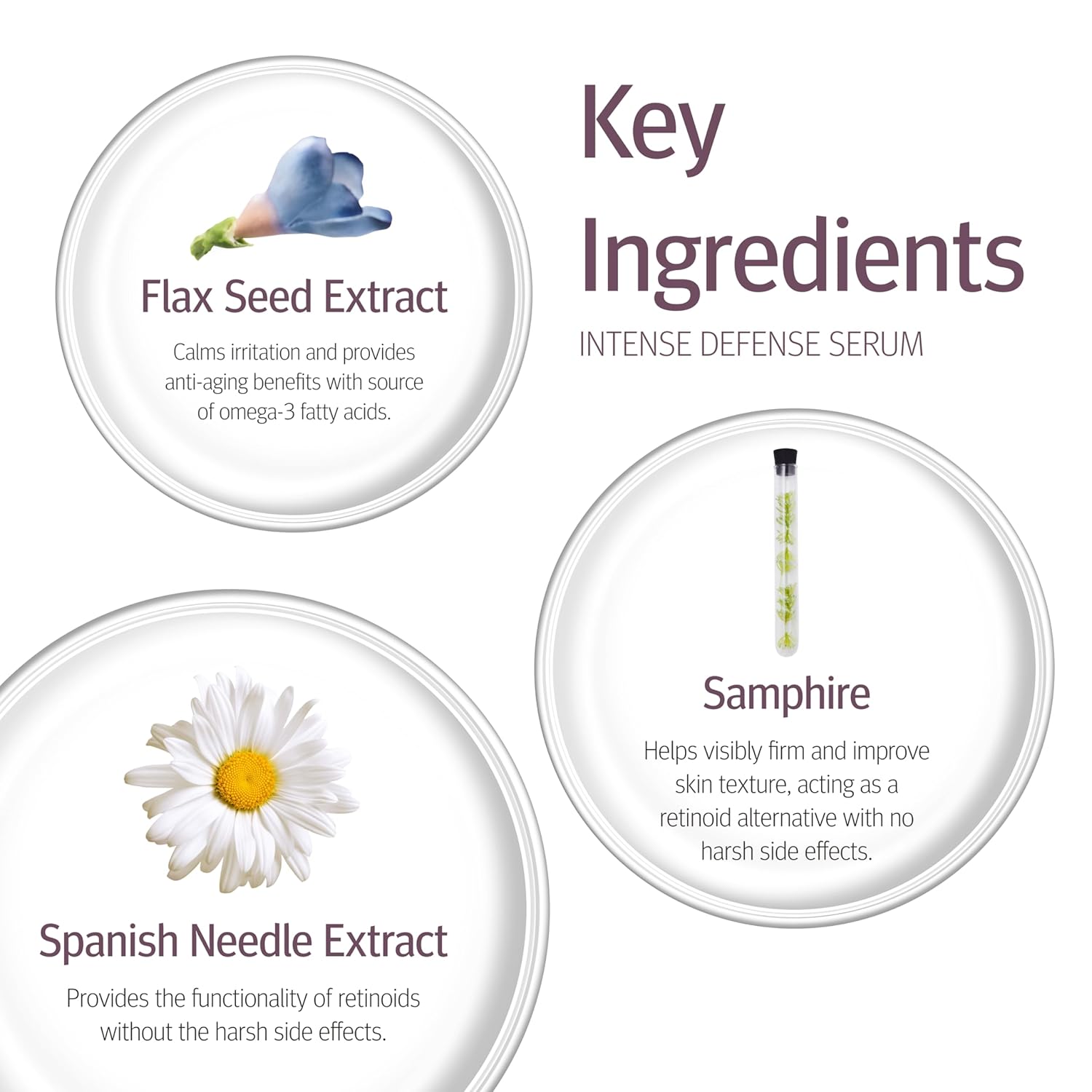 Epionce Intense Defense Serum – Anti Aging Serum for Face Anti Aging, Brightening Serum with Vitamin C, Vitamin E, Vitamin D, A, B, Niacinamide Serum