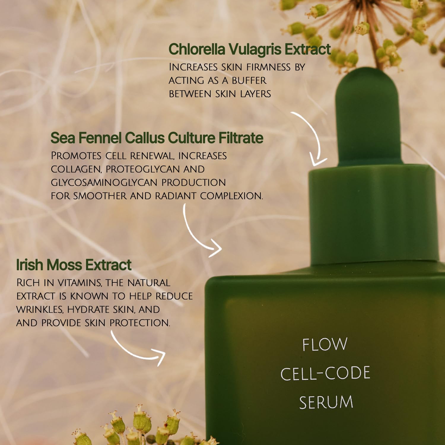 KOY Flow Cell-Code Serum – Suero facial de regeneración de la piel, Crithmum Maritimum(Rock Samphire), agua de rosas, agua de oxígeno para