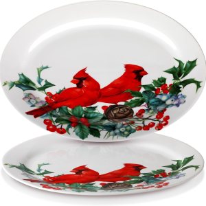 Kigley Plato ovalado de cerámica cardenal de 2 piezas de 14 x 9 pulgadas, plato ovalado de bayas de acebo, platos decorativos de acuarela cardenal Kigley Plato ovalado de cerámica cardenal de 2 piezas de 14 x 9 pulgadas, plato ovalado de bayas de acebo, platos decorativos de acuarela cardenal