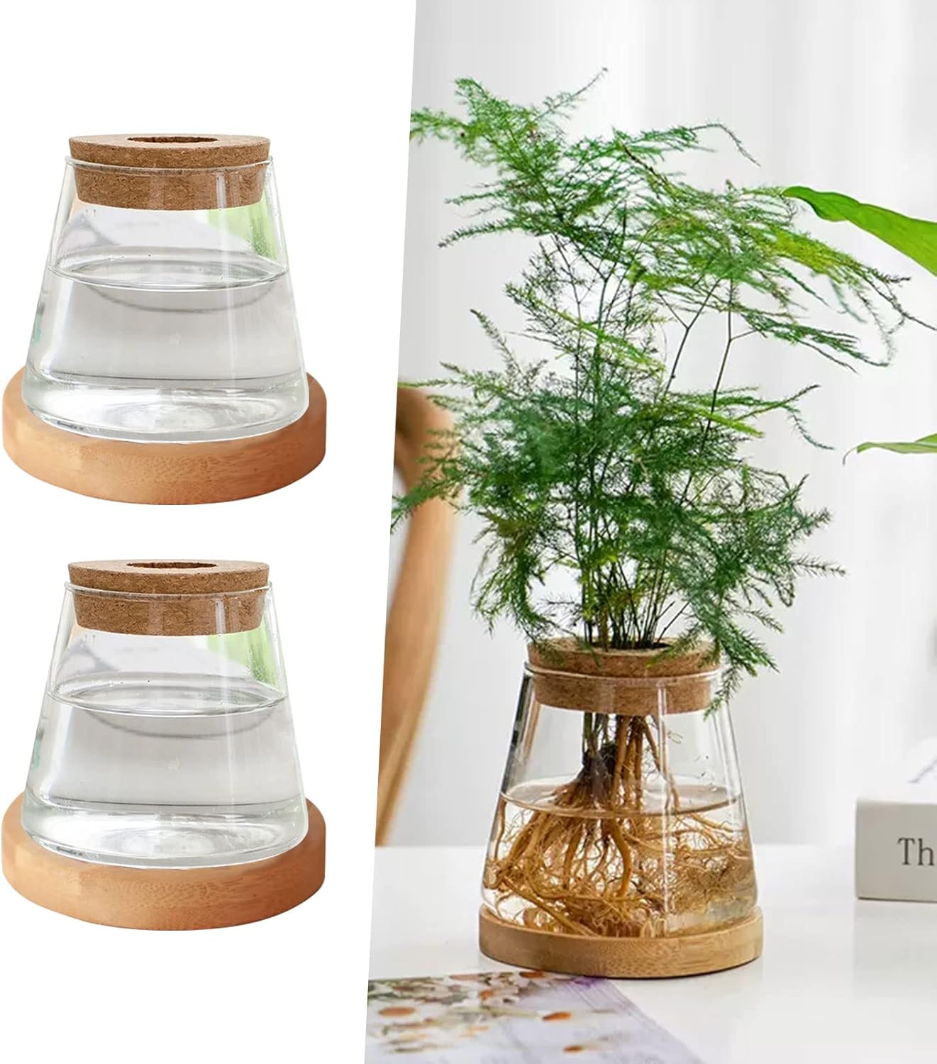 2 piezas de terrario de escritorio separadas, estación de propagación de plantas, planta de vidrio, planta de terrario, estación de agua, jarrón de