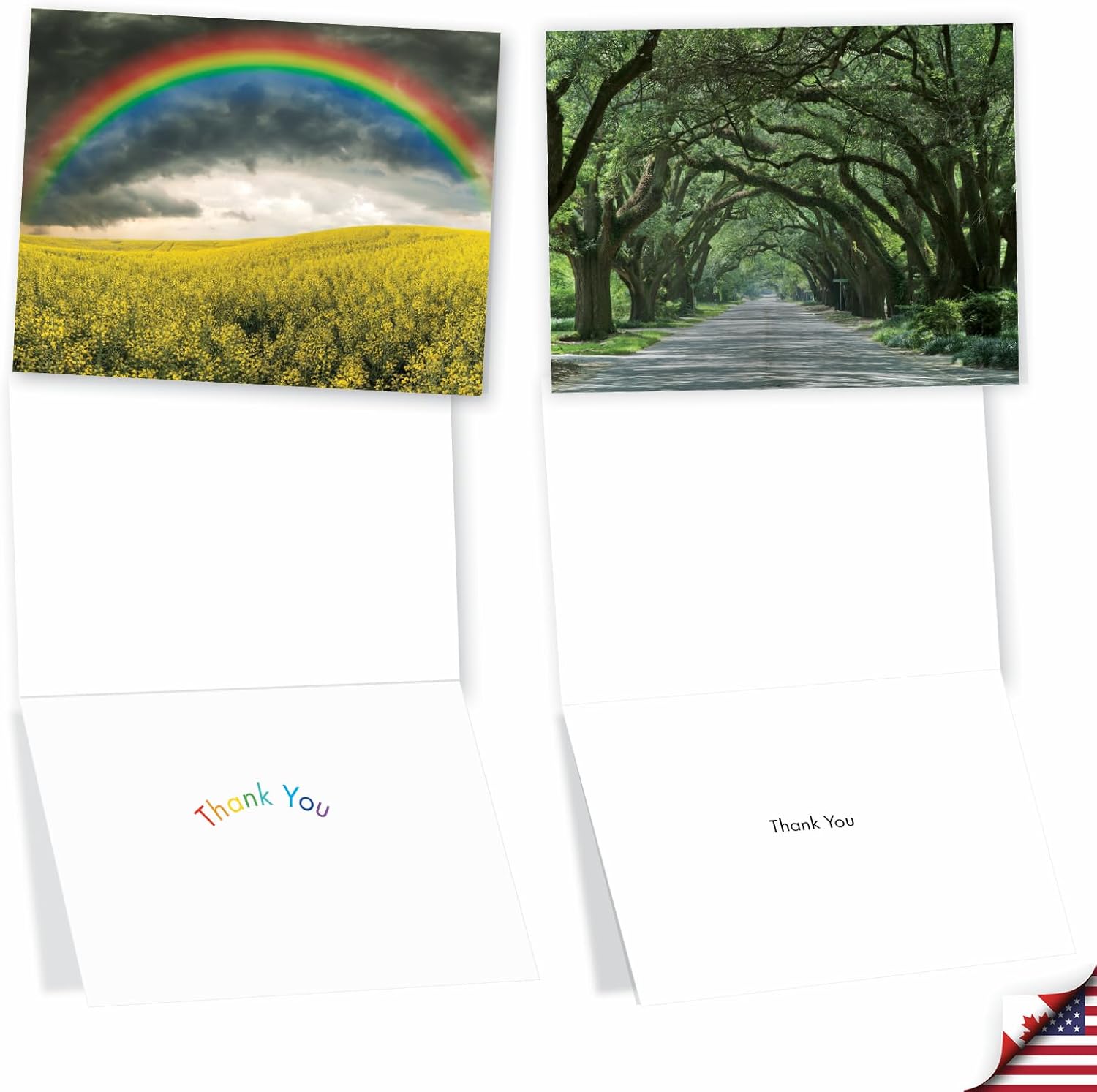The Best Card Company – Juego de 36 notas surtidas en caja de 4 x 5.12 pulgadas con sobres (6 diseños, 6 de cada uno), paquete variado de tarjetas