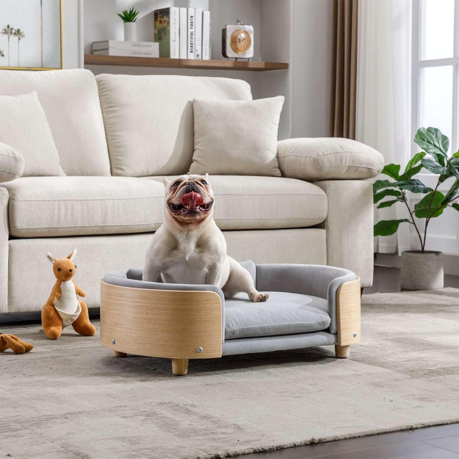 Cama de terciopelo para perro, sofá para mascotas con patas de madera maciza y respaldo de madera doblada, cojín resistente a las manchas en varios