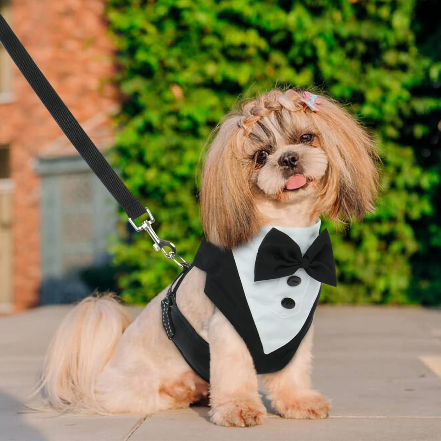 BRKURLEG Arnés de esmoquin para perro, arnés ajustable para perros pequeños y medianos, arnés de traje de boda para perro con pajarita, cómodo arnés
