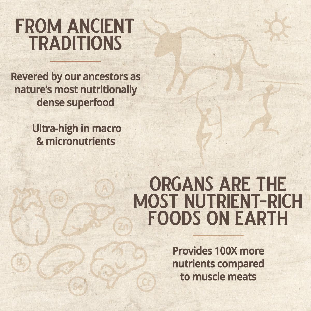 Grazin Health – Complejo de órganos bovinos alimentados con pasto hígado, bazo, riñón, corazón, páncreas (600 mg por órgano por cápsula), 3000 mg