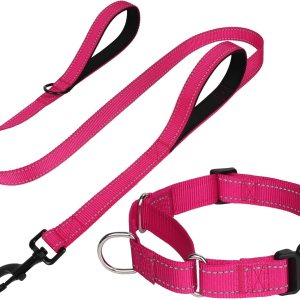 FunTags Collar Martingala reflectante para perros, hebilla de liberación rápida, correa acolchada de doble asa de 5 pies, juego de collar y correa FunTags Collar Martingala reflectante para perros, hebilla de liberación rápida, correa acolchada de doble asa de 5 pies, juego de collar y correa