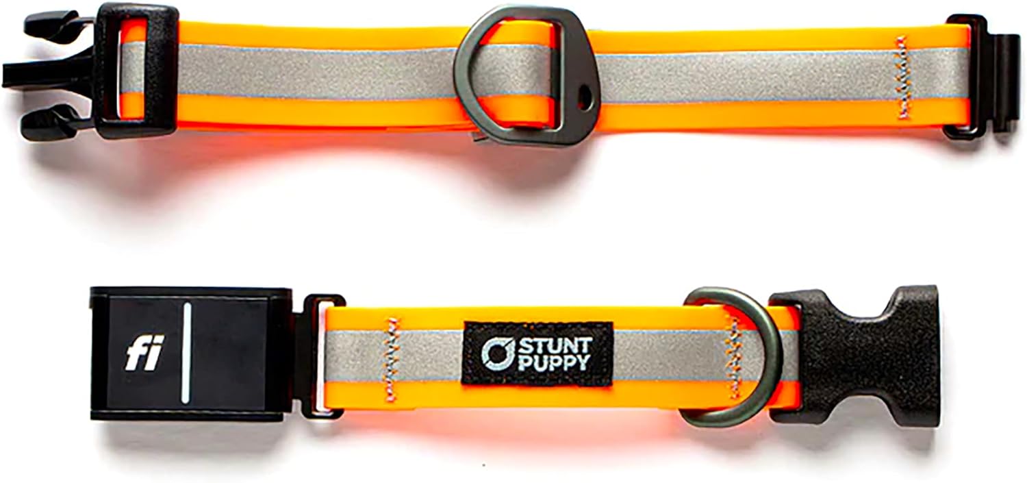Fi Series 3 – Collar listo para secar, naranja, reflectante, pequeño, dispositivo GPS Fi no incluido