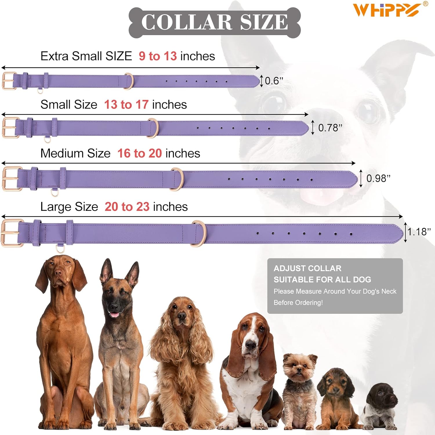 WHIPPY Collar de cuero para perro pequeño, mediano y grande, ajustable, suave, transpirable, acolchado, de cuero con hebilla de aleación, resistente