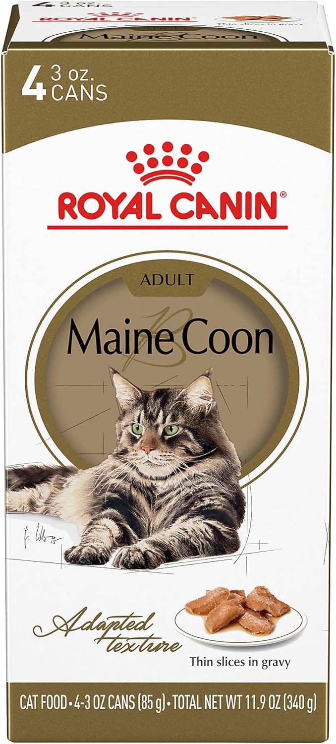 Royal Canin Maine Coon Breed – Alimento húmedo para gatos adultos, rodajas finas en salsa, 3 onzas (paquete de 4)