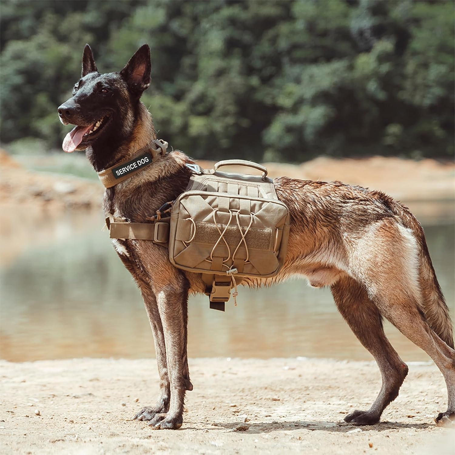 EXCELLENT ELITE SPANKER Paquete de mochila para perros, mochila para camping, senderismo, perro mediano y grande con 2 bolsillos laterales