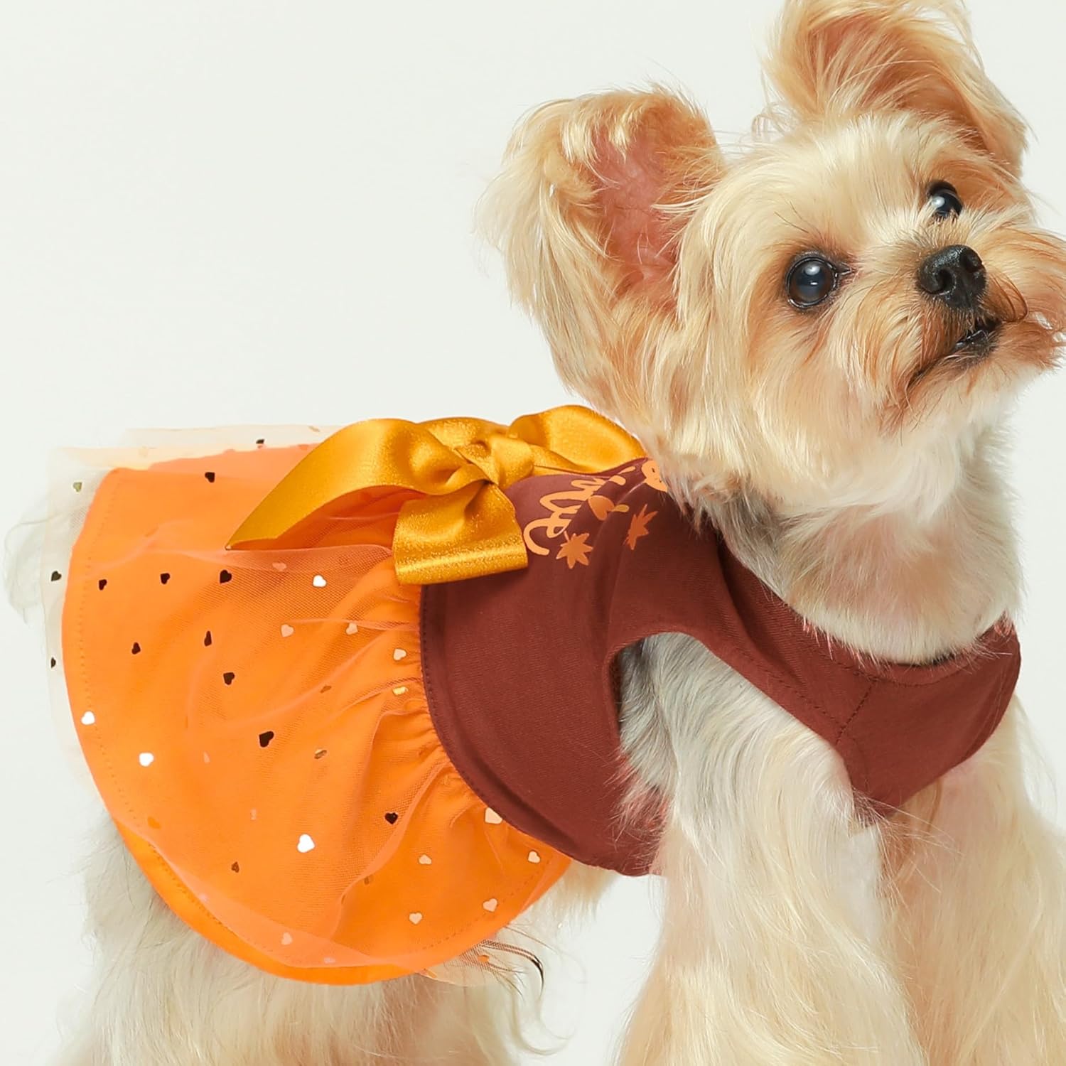 Fitwarm Vestido de perro de Acción de Gracias, ropa brillante para perros pequeños y niñas, vestido tutú para mascotas, traje de gato, marrón,