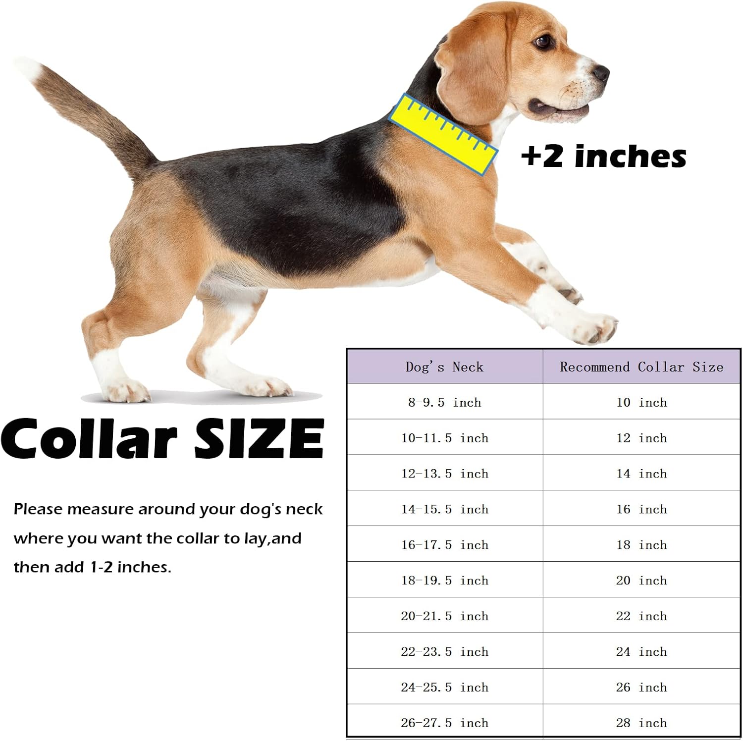 Collar de cadena de oro para perro, chapado en oro de 18 quilates, cadena de eslabones cubanos de acero inoxidable para perros medianos (longitud –