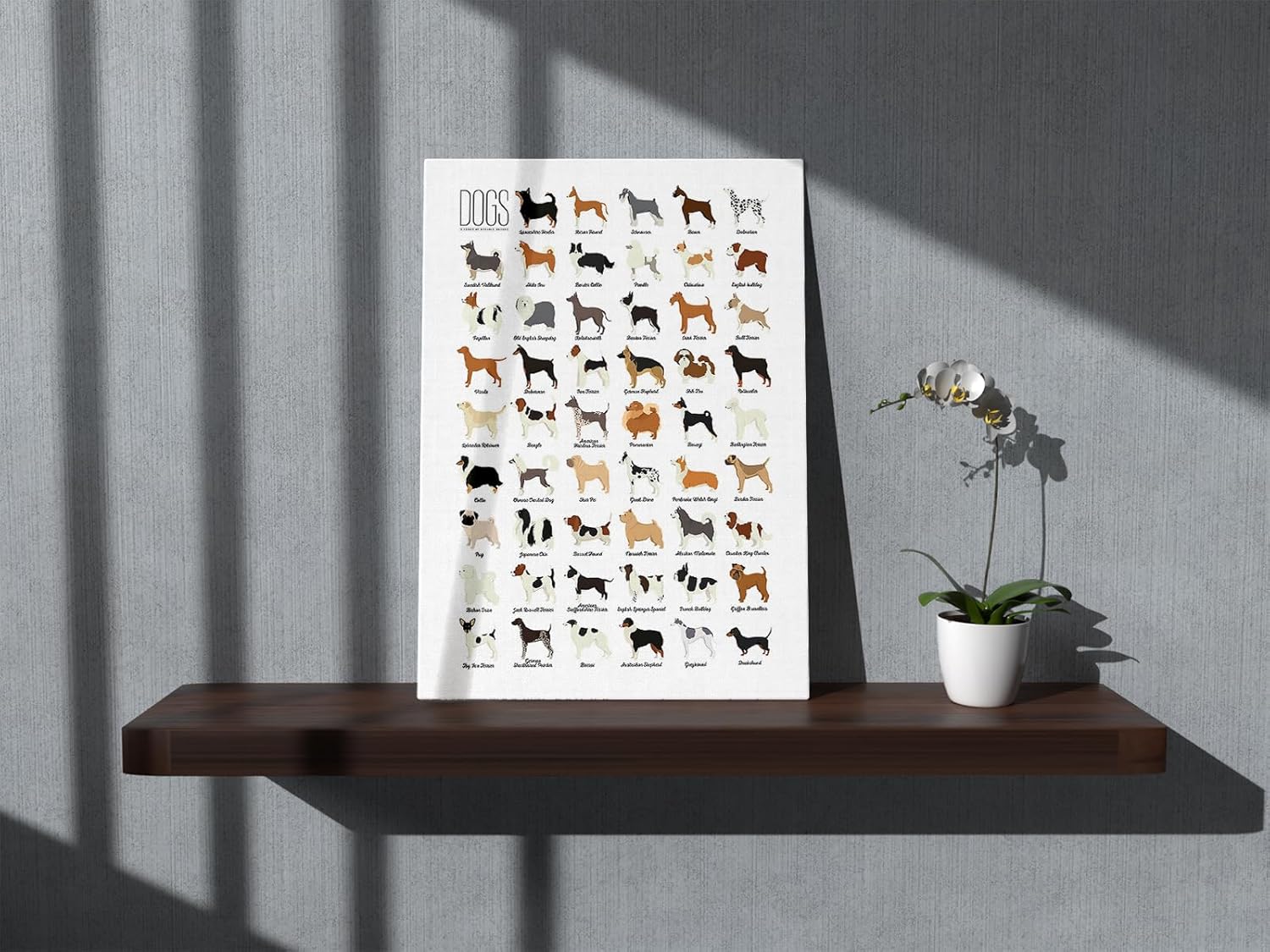 Póster de acuarelas de razas de perros Tipos de perros, arte de pared con temática de perros de 11 x 14 pulgadas, decoración para el hogar,