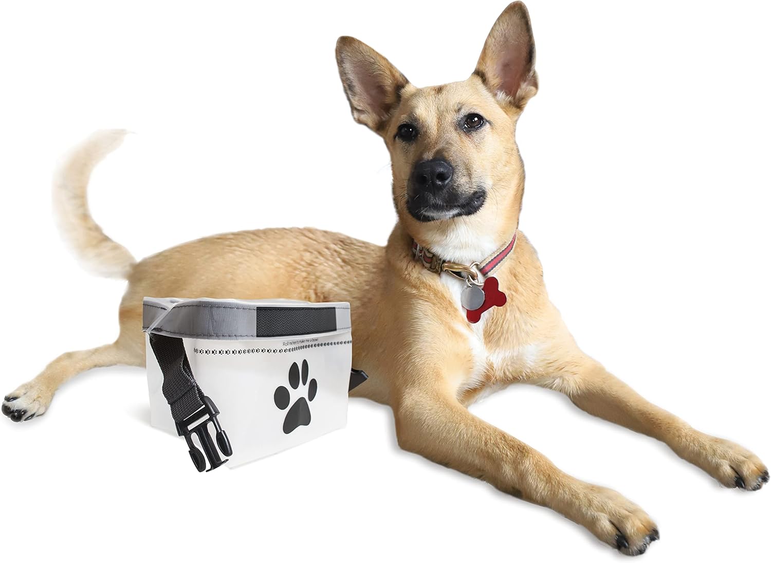 rezip Clip N’ Go Pet Bowl – Paquete de 2 bolsas plegables portátiles de almacenamiento de alimentos para perros y cuenco de alimentaciónagua, sin
