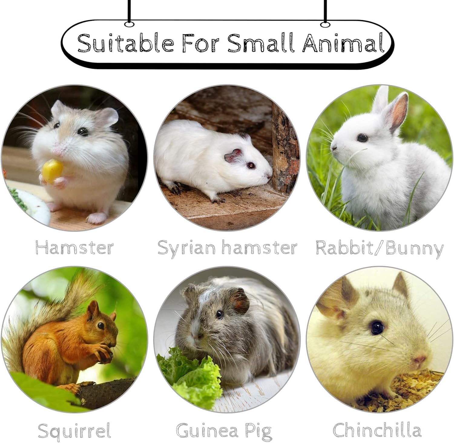 Hamiledyi 5 piezas Chinchilla Lava Block Calcio Piedra Dientes Molienda para hámster, conejo, conejo, ratas, ratón, ardillas, masticar juguetes